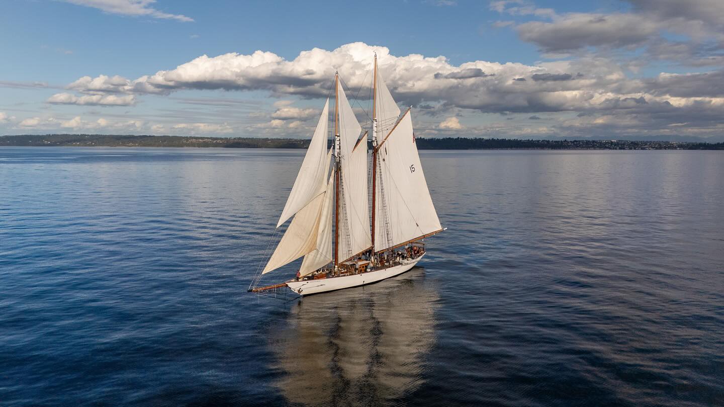 Featured image for “Adventuress”