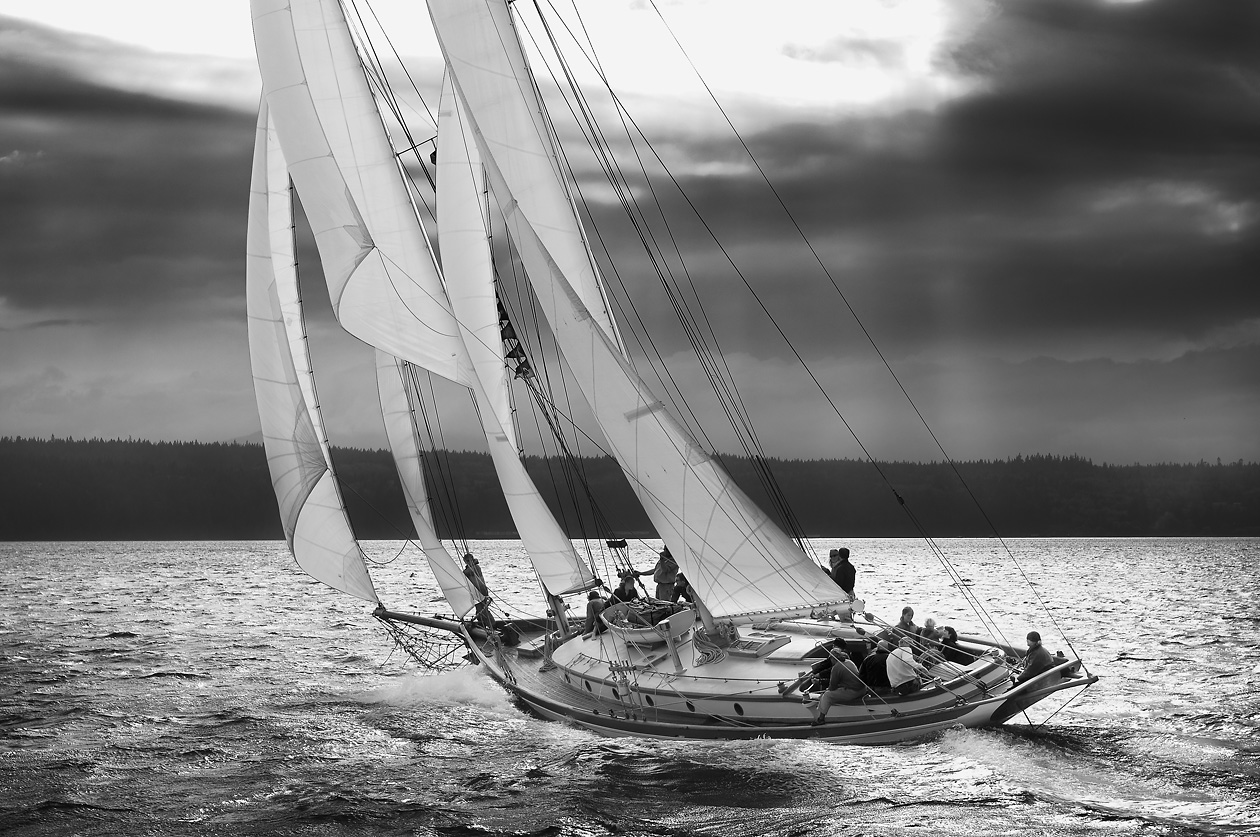 Featured image for “Martha”