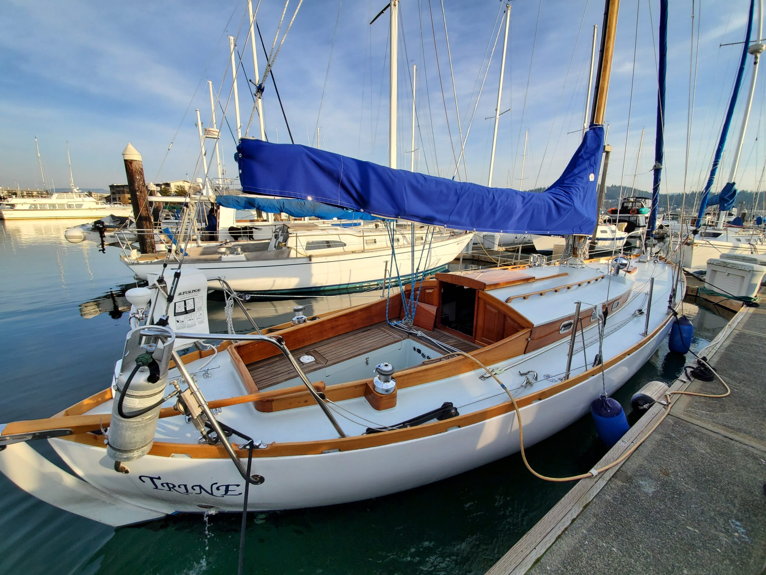 Featured image for “Trine”