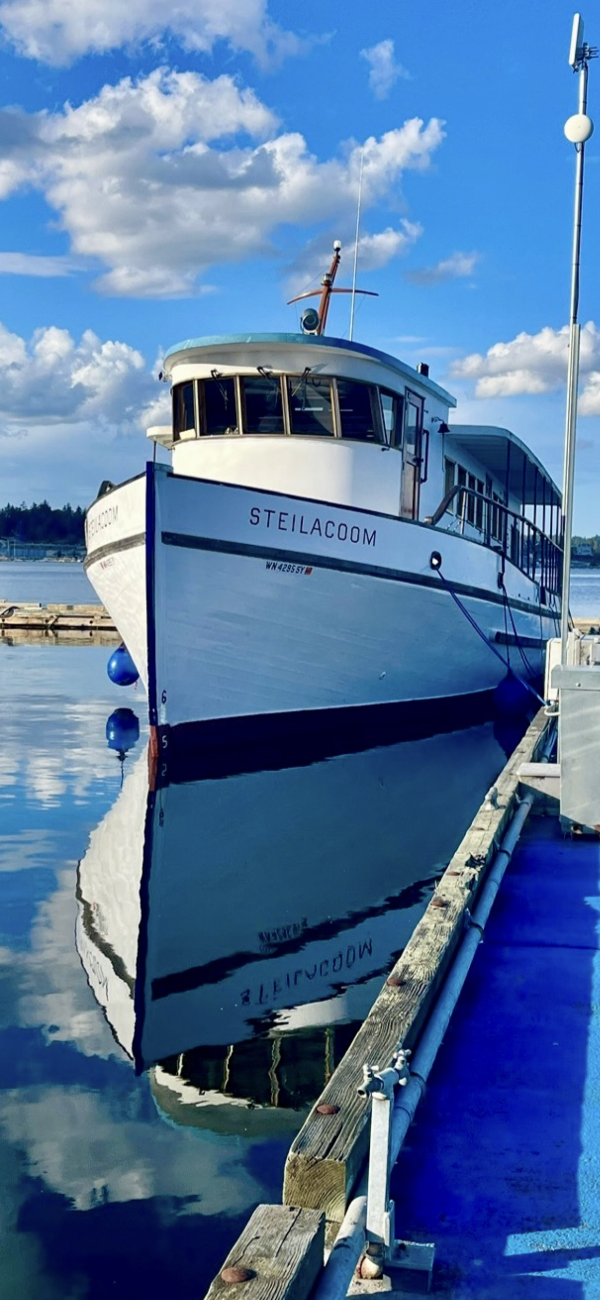 Featured image for “STEILACOOM”
